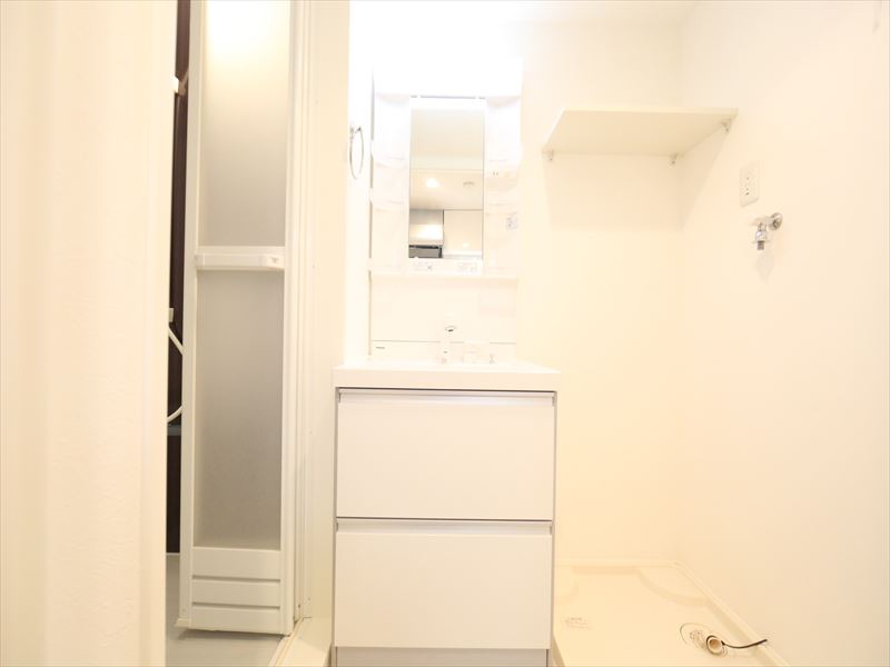 シャンプードレッサー 脱衣所