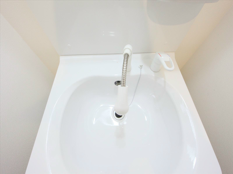 シャンプードレッサー