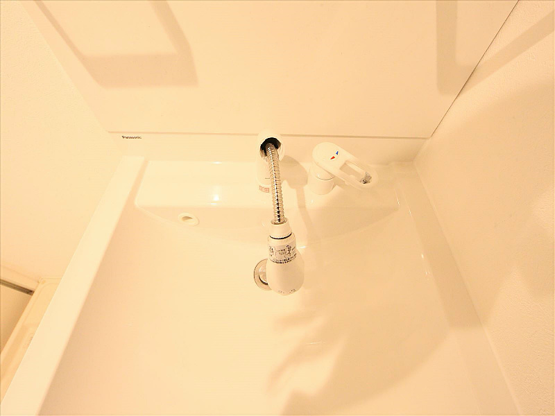 シャンプードレッサー