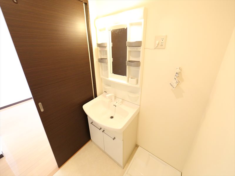 シャンプードレッサー