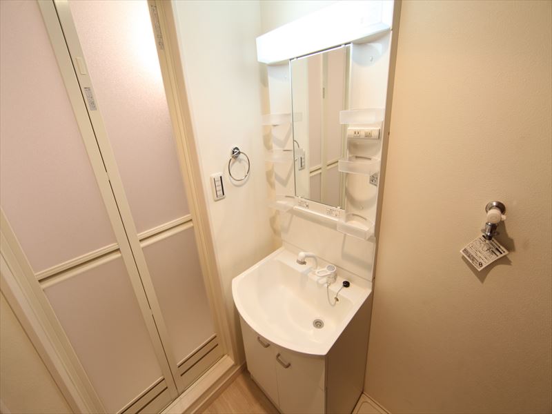 脱衣所 シャンプードレッサー付き