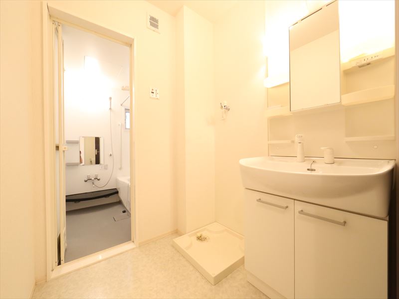 シャンプードレッサー/洗面脱衣所/室内洗濯機置場