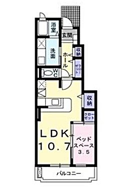 ブランドール樹