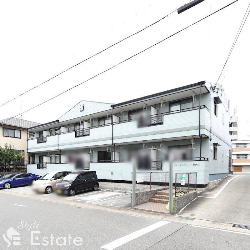 エバーグリーンオモダカ