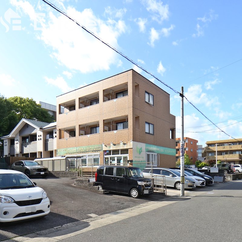 ハイムカトレア