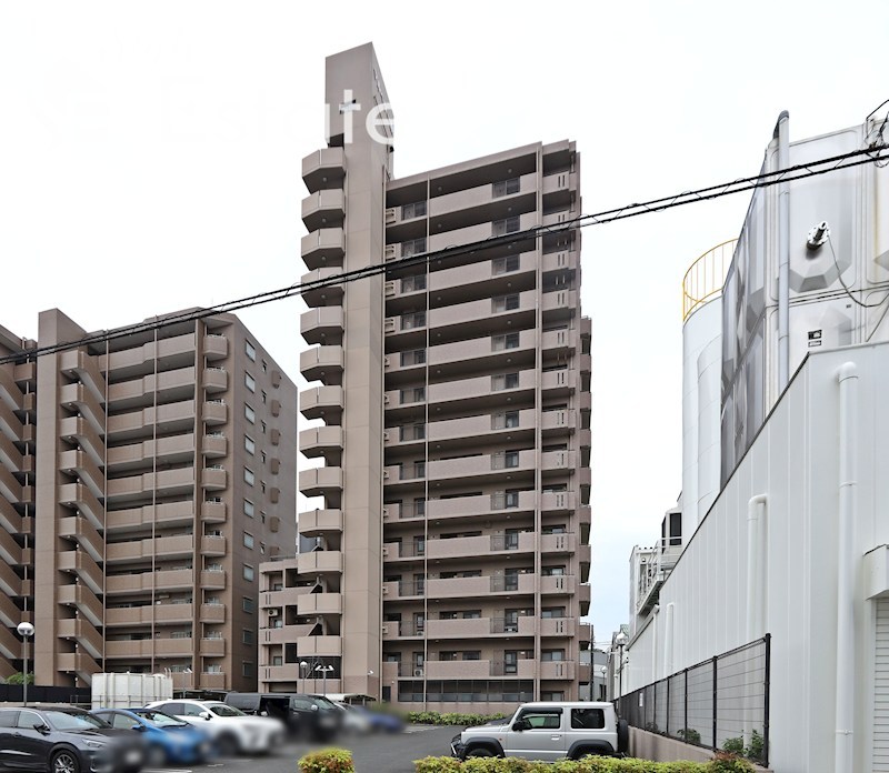 マルベリー原
