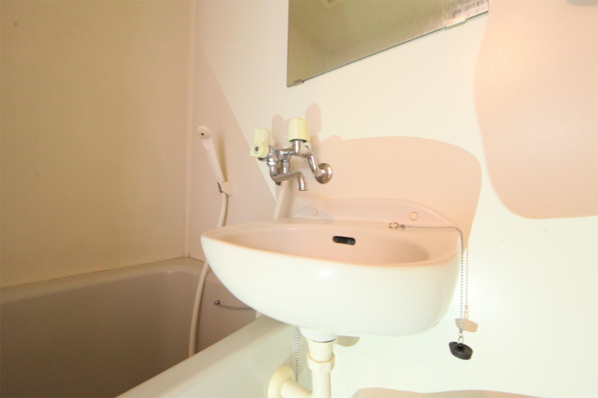 ハッピーバレイ(ハッピーバレイ)