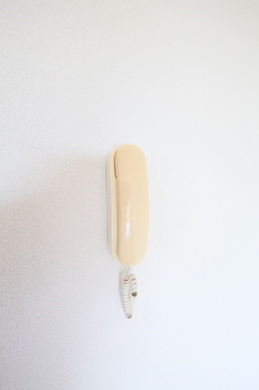 ジョイ・パーク(ジョイパーク)