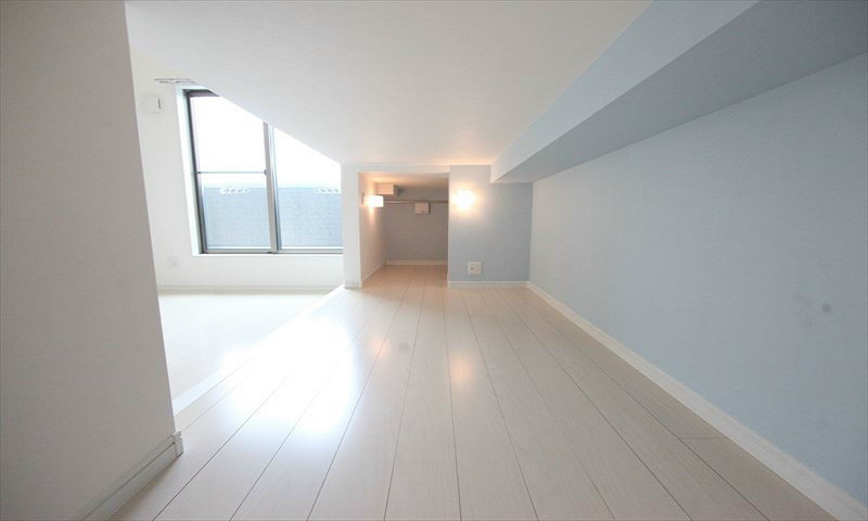 ロフト(収納としてもお部屋としても使えます)