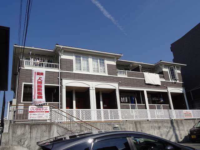 シャロームT