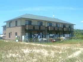 エバーグリーン　B