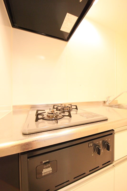 アルティプラーノ(アルティプラ