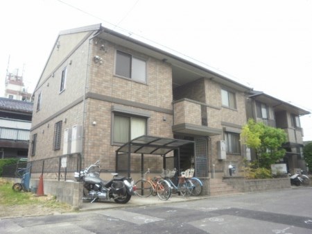 ウィルモアそら