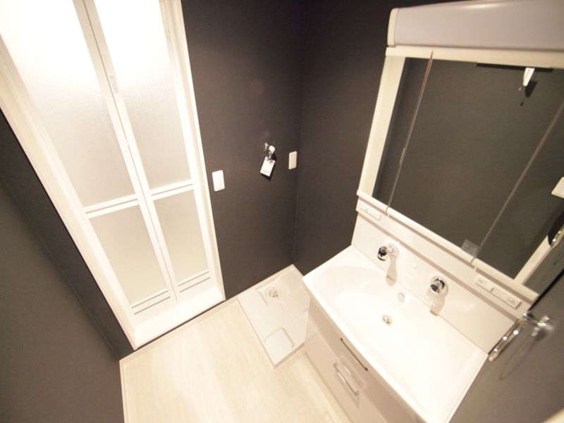 脱衣所 同仕様写真