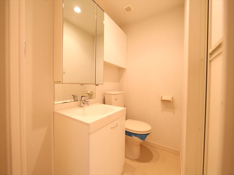 脱衣所 独立洗面台付