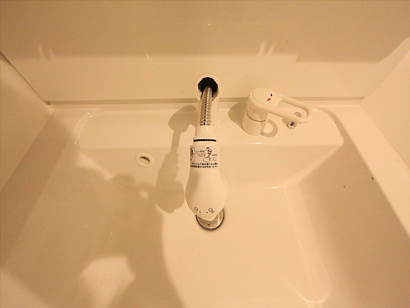 シャンプードレッサー