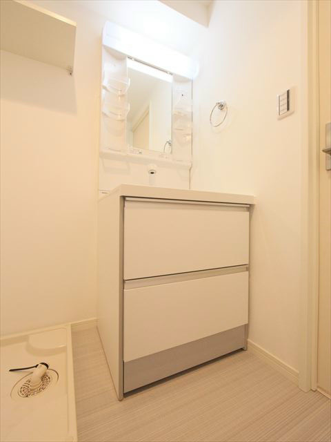 シャンプードレッサー