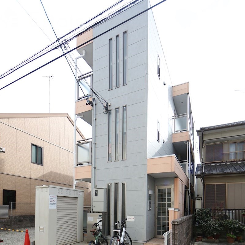 アムール青柳