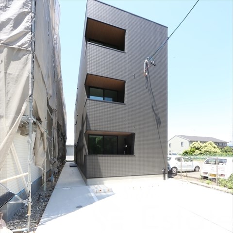 Warren nakashiotaIII