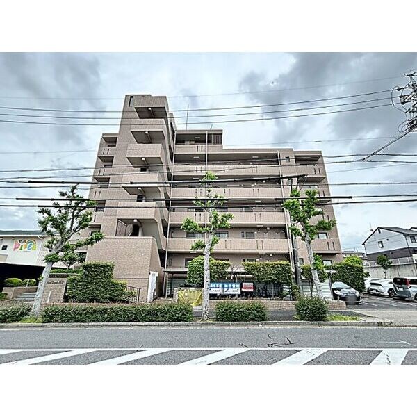 スカイコートウスイ