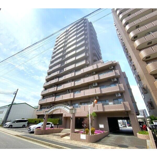 マルベリー原