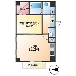 Sugarloaf Park花の木