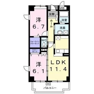 M’Sパーシモン