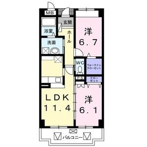 M’Sパーシモン