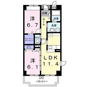 M’Sパーシモン