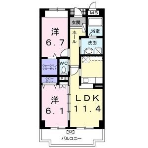 M’Sパーシモン