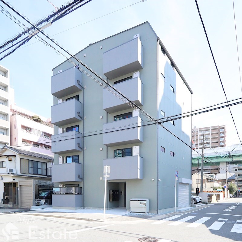 Sugarloaf Park花の木