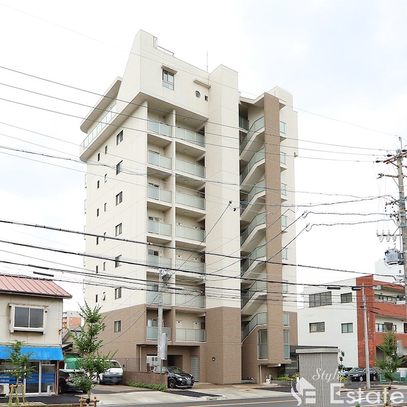 マザー花の木