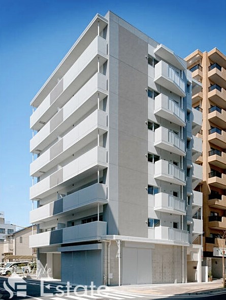 プログレッソ花の木